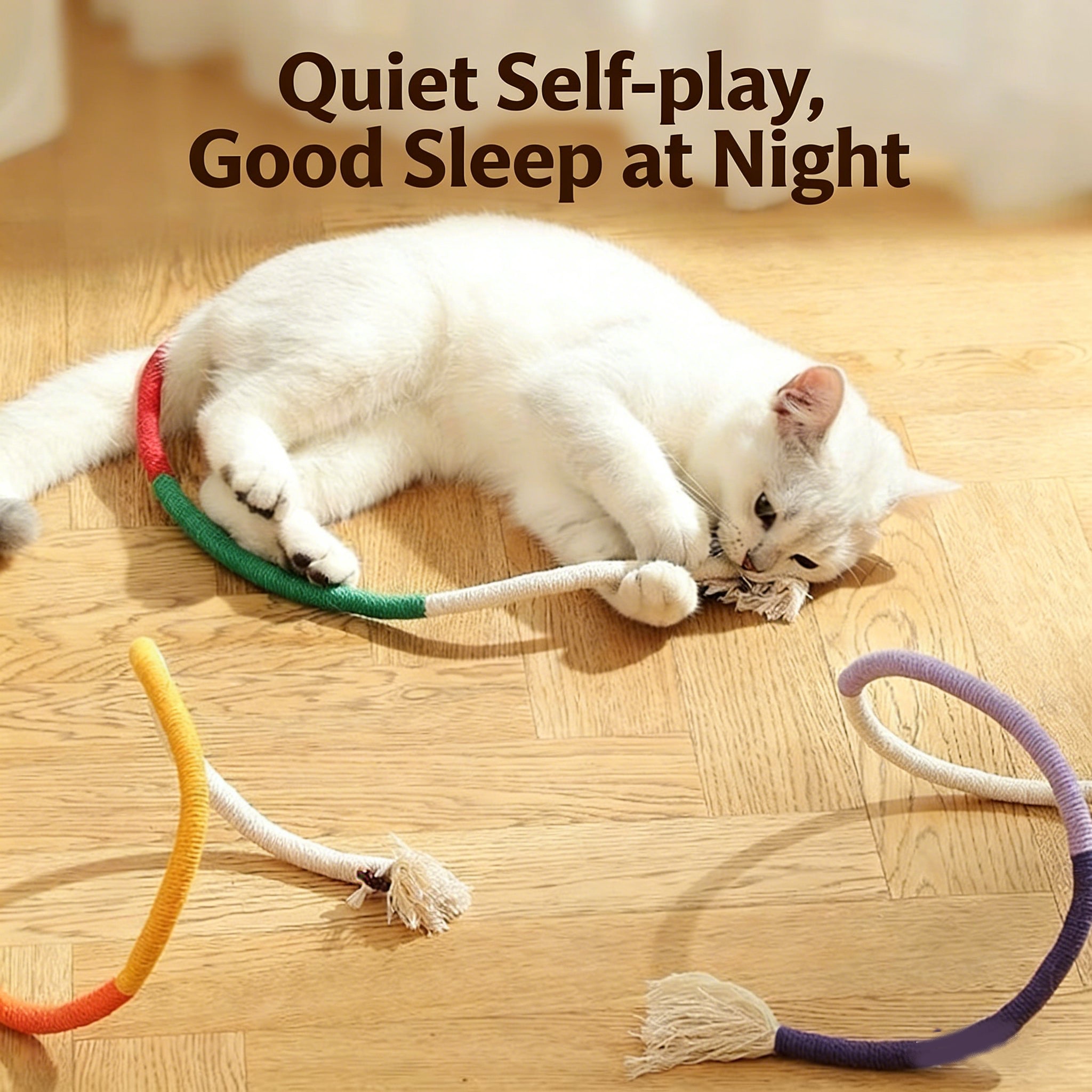 Product Introduction & Sales Copy