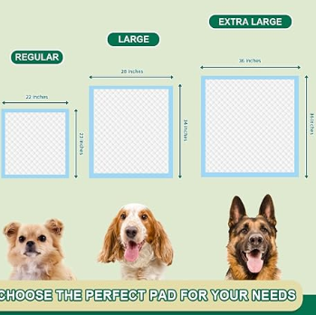 Product Name: Multi-Size Pet Training Pads